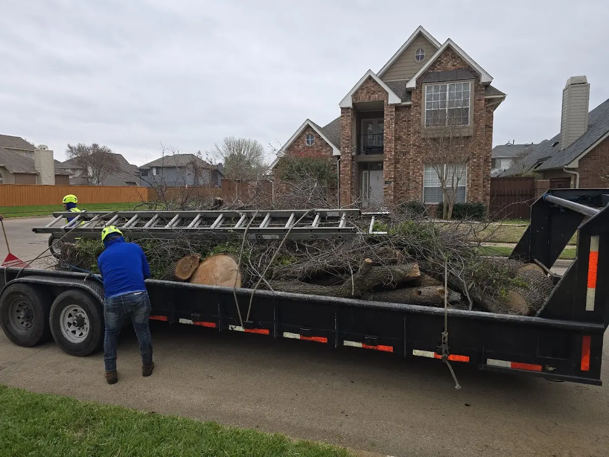 Expert Tree Fertilization with proper safety equipment in Antelope
